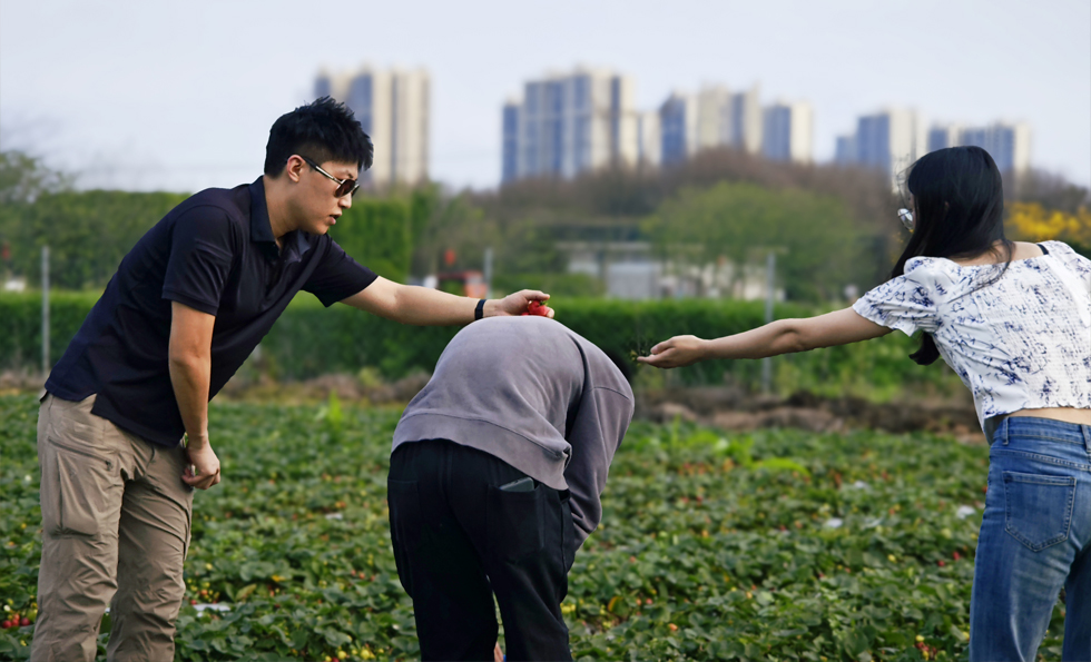 6731顶级游戏下载-6731顶级游戏官网最新版下载-MC中文下载