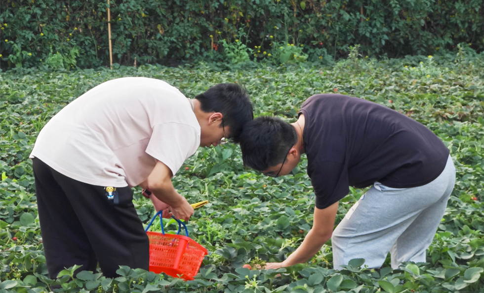 6731顶级游戏下载-6731顶级游戏官网最新版下载-MC中文下载